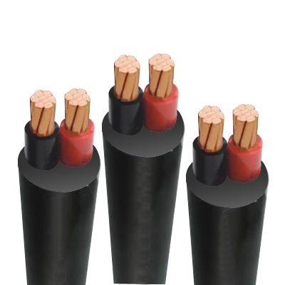 Cáp điện lực hạ thế ruột đồng 2 lõi cvv 2x4 màu đen Cadivi, cách điện pvc, vỏ pvc, giá tính theo mét